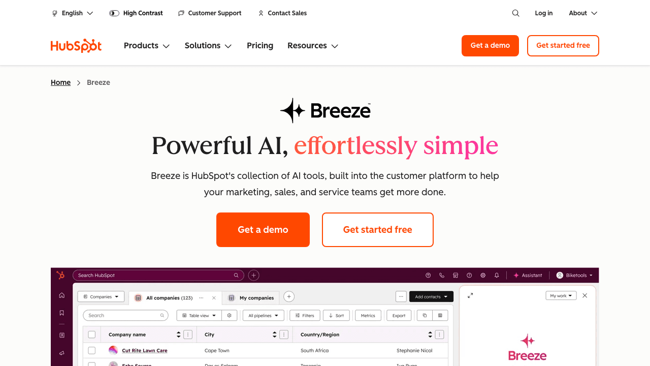 HubSpot Breeze Intelligence 主页